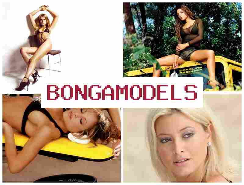 BONGO MODEL 🔵 Wasipi internet modelo llamk'ay telefonwan llamk'ay atikun