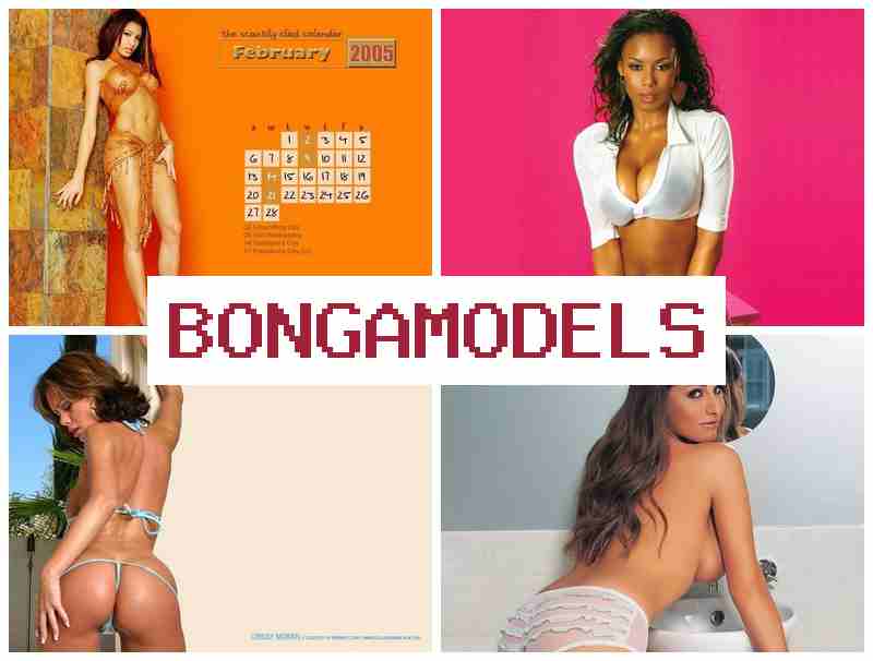 BONGAMOFELS ᐉ Internetpi chat modelo llamk'ay mana experiencia manakunchu, allin qullqi