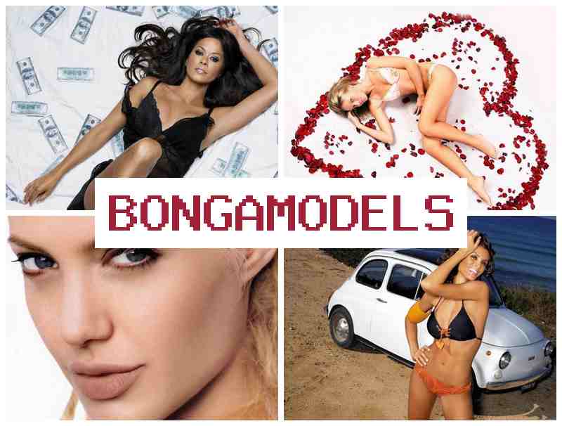 BONGAMOXELS 🌟 Remoto videochat llamk'ay telefonwan llamk'ay atikun