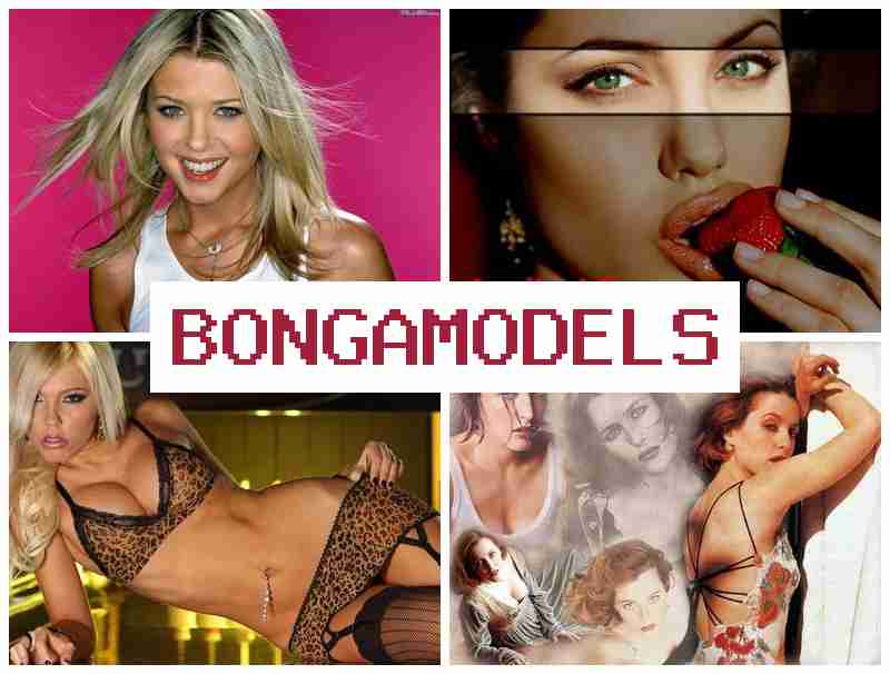 BONGA MOELS ▓ Job suplimentar  prin internet în condiții casnice