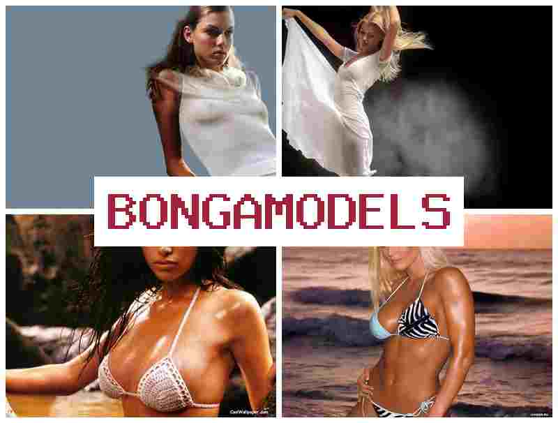 BONGA OMDELS 🔵 Obține independență financiară online lucrând direct de pe telefon cu libertate totală și flexibilitate