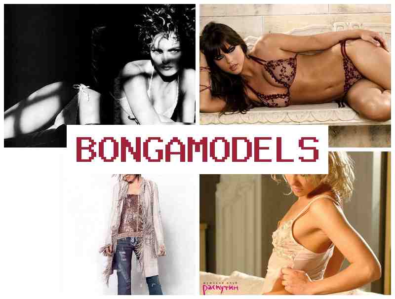 BONGA NODELS 🔵 Câștigă bani lucrând online fără stres cu libertate totală și suport nonstop