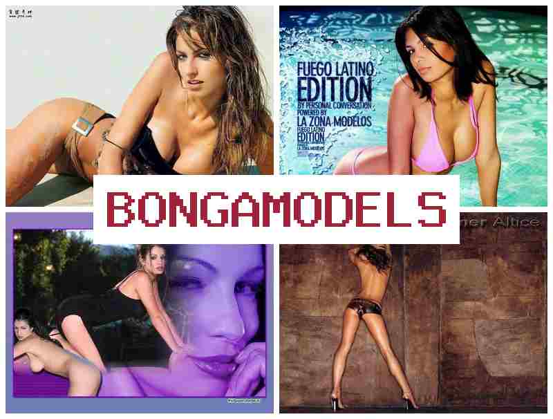 BONGA MODWLS 😍 Lucrează online fără restricții în videoconferințe, direct de pe telefon cu program flexibil și plată săptămânală