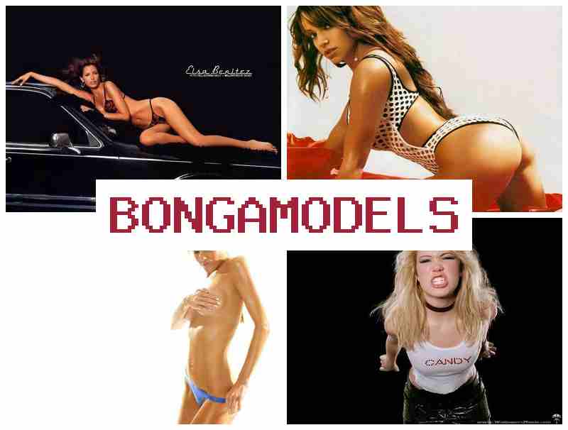 BONGA MODRLS ☑️ Câștigă bani lucrând online fără stres cu libertate totală și suport nonstop