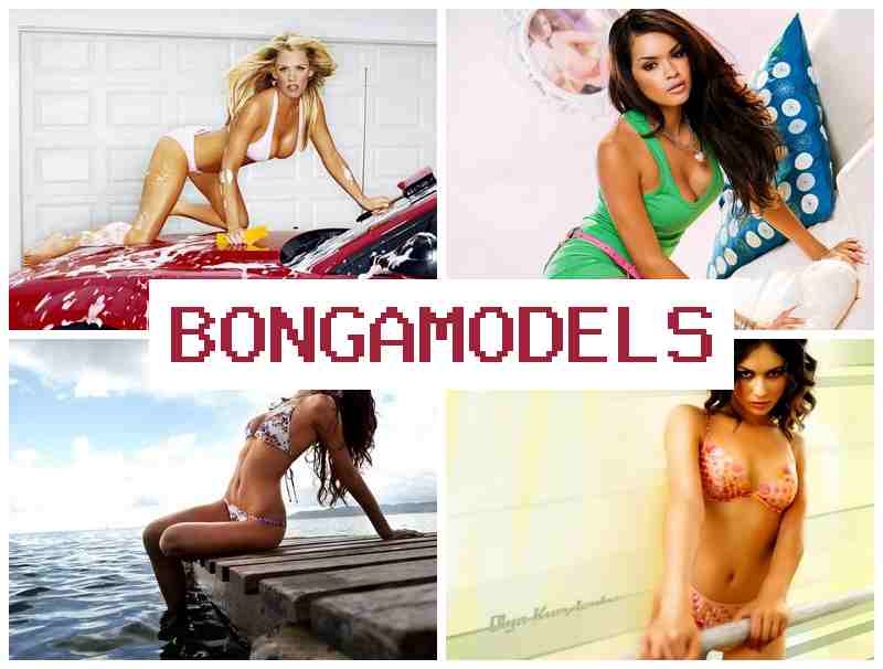 BONGA MODDLS 🎥 Lucrează legal și confortabil online în videoconferințe 24/7 și fii independent financiar