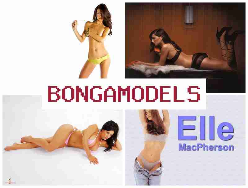 BONGAMODRLS 🔵 Fii web-model profesionist direct de pe telefon, legal și sigur și câștigă bani stabili săptămânal