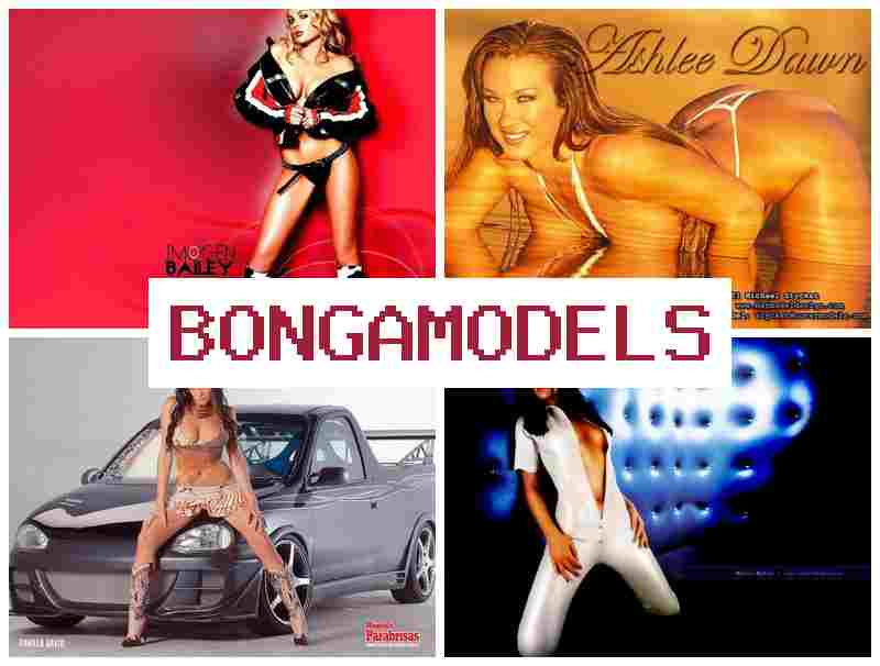 BONGAMODSLS ⭕ Obține independență financiară de acasă lucrând direct de pe telefon