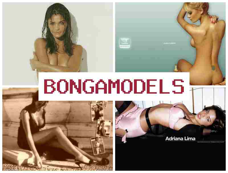 BONGA MODEKS ▒ Anza ajira nyumbani ukiwa muwakilishi wa webcam na faida ya juu mtandaoni na huduma ya msaada wa muda wote