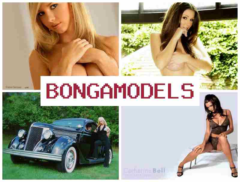 BONGAMOELS 👧 ทำงานออนไลน์จากบ้านง่าย รายได้สูงทุกสัปดาห์ เทคโนโลยีทันสมัยใช้งานง่าย