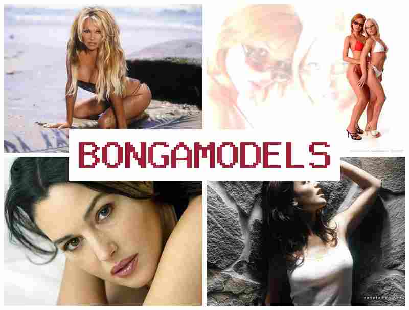 BINGA MODELS 💸 ทำงานวีดีโอแชทง่าย ไม่จำเป็นต้องมีประสบการณ์ เทคโนโลยีทันสมัยปลอดภัย