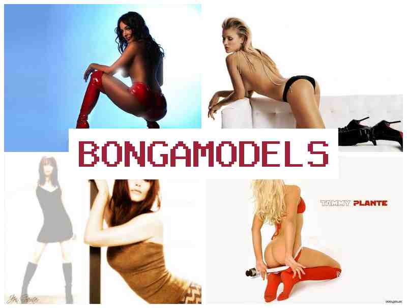 BONGA MODES 💻 Làm việc online trong phòng riêng, trả lương hàng tuần, lịch làm việc tự do