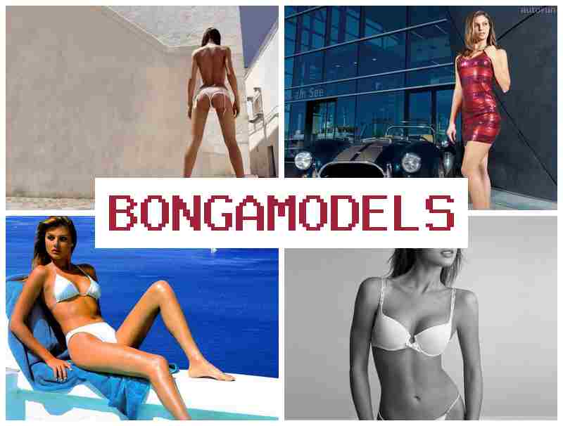 BONGA MOEDLS 🎥 Gba owo nipasẹ fidio pẹlu eto rọ