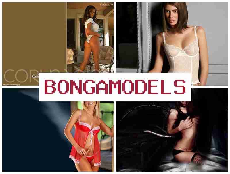 BONGA MLDELS 💲 Iṣẹ lori intanẹẹti ni ile pẹlu aṣeyọri laisi iriri